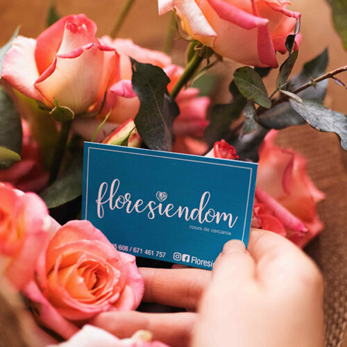 Floresiendom - Ramo sutil de 11 Rosas
